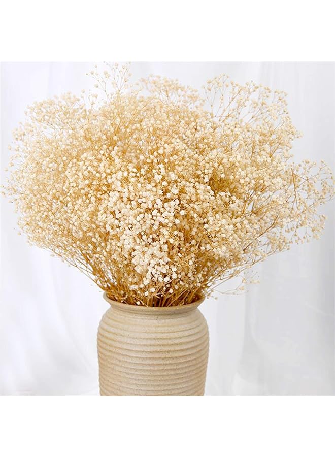 The Bros باقة زهور نفسية مجففة - 17 بوصة 2500+ زهور بيضاء عاجية مجففة، فروع جيسوفيلا الطبيعية لحفلات الزفاف، ديكور مزهريات الطاولة، إكليل زهور DIY، تزيين المنزل والمكتب والحفلات والحدائق (3 أوقية) - Image 1