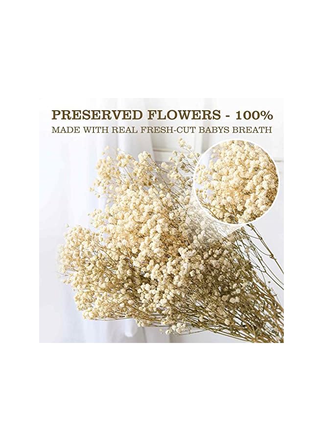 The Bros باقة زهور نفسية مجففة - 17 بوصة 2500+ زهور بيضاء عاجية مجففة، فروع جيسوفيلا الطبيعية لحفلات الزفاف، ديكور مزهريات الطاولة، إكليل زهور DIY، تزيين المنزل والمكتب والحفلات والحدائق (3 أوقية) - Image 3