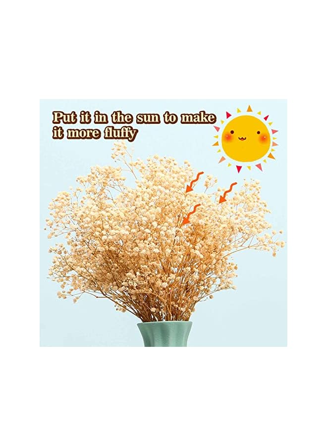 The Bros باقة زهور نفسية مجففة - 17 بوصة 2500+ زهور بيضاء عاجية مجففة، فروع جيسوفيلا الطبيعية لحفلات الزفاف، ديكور مزهريات الطاولة، إكليل زهور DIY، تزيين المنزل والمكتب والحفلات والحدائق (3 أوقية) - Image 4