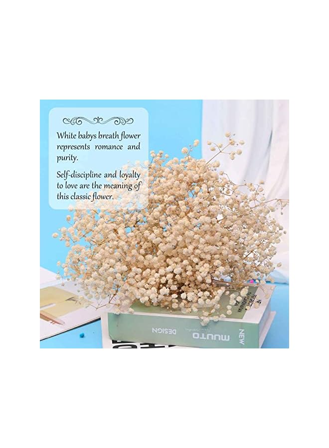 The Bros باقة زهور نفسية مجففة - 17 بوصة 2500+ زهور بيضاء عاجية مجففة، فروع جيسوفيلا الطبيعية لحفلات الزفاف، ديكور مزهريات الطاولة، إكليل زهور DIY، تزيين المنزل والمكتب والحفلات والحدائق (3 أوقية) - Image 2