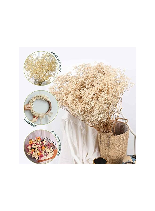 The Bros باقة زهور نفسية مجففة - 17 بوصة 2500+ زهور بيضاء عاجية مجففة، فروع جيسوفيلا الطبيعية لحفلات الزفاف، ديكور مزهريات الطاولة، إكليل زهور DIY، تزيين المنزل والمكتب والحفلات والحدائق (3 أوقية) - Image 5