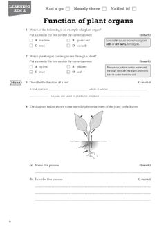 Pearson REVISE BTEC First in Applied Science: Prin  - Image 1