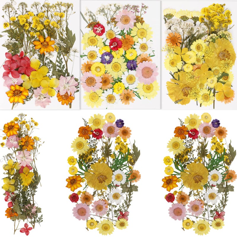 BIHRTC BIHRTC 100PCS Pressed Flowers for Resin Natural Real Pressed Flowers Orange Dried Flowers Assorted Dry Leaves Herbs Kits for Scrapbooking DIY Candle Accessories Jewelry Crafts Making