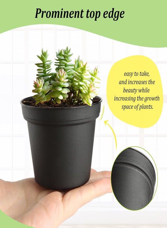 RooTrimmer 160 Pack 3 Inch Black Nursery Pots - Plastic Seedling, Seed Starter, Germination Pots with Drainage for Plants, Succulents, Flowers, Transplanting - Image 4