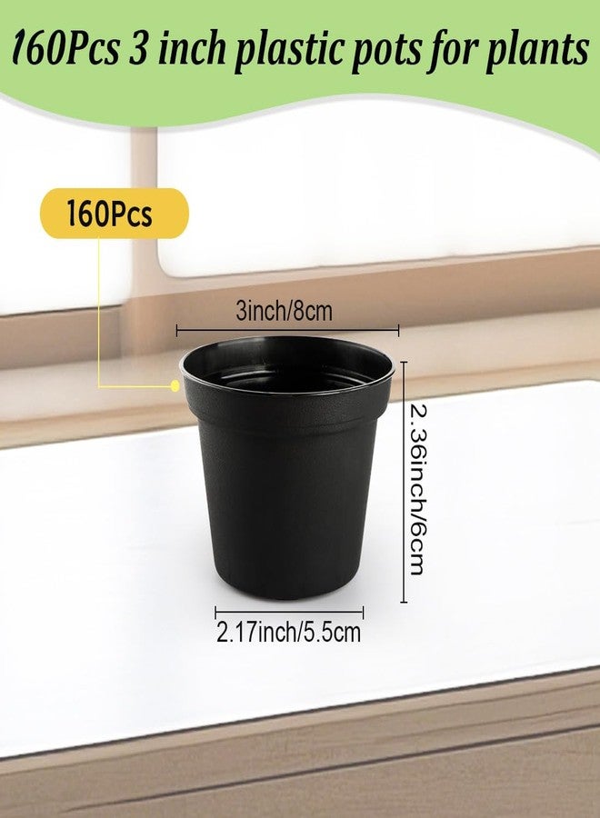 RooTrimmer 160 Pack 3 Inch Black Nursery Pots - Plastic Seedling, Seed Starter, Germination Pots with Drainage for Plants, Succulents, Flowers, Transplanting - Image 2