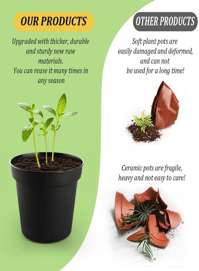 RooTrimmer 160 Pack 3 Inch Black Nursery Pots - Plastic Seedling, Seed Starter, Germination Pots with Drainage for Plants, Succulents, Flowers, Transplanting - Image 5