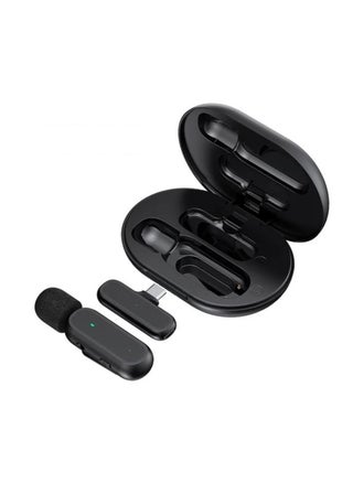 1 USB C Mic