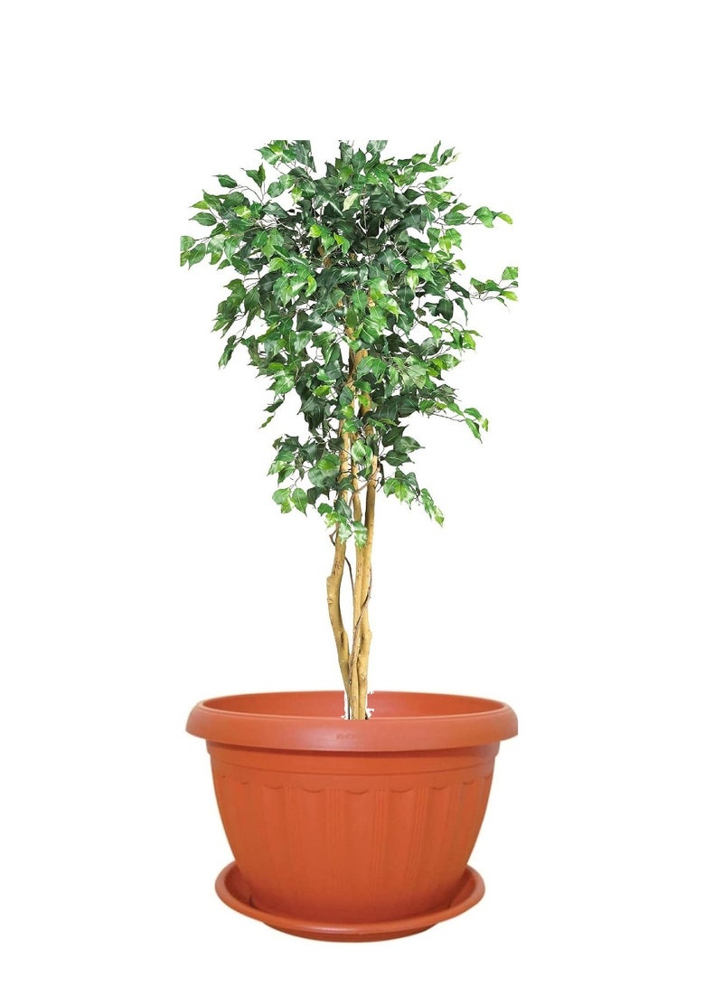 Generic Planter Plastic Round Pot, Brown , 18cm - Image 2