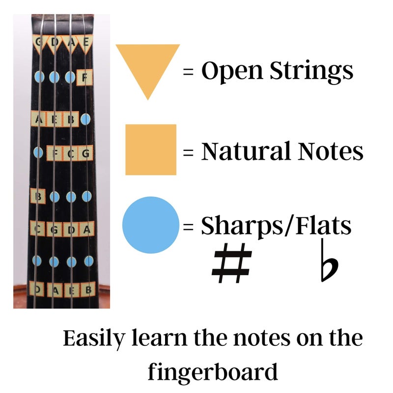 FFG NOTE THE DIFFERENCE Fantastic Finger Guide for Violins | Stringed Musical Instruments | Fingerboard and Fretboard Stickers for Learning All Notes | Kids/Adult Beginner Violin Finger Guide | Play or Fiddle, 1/4-Size  - Image 4