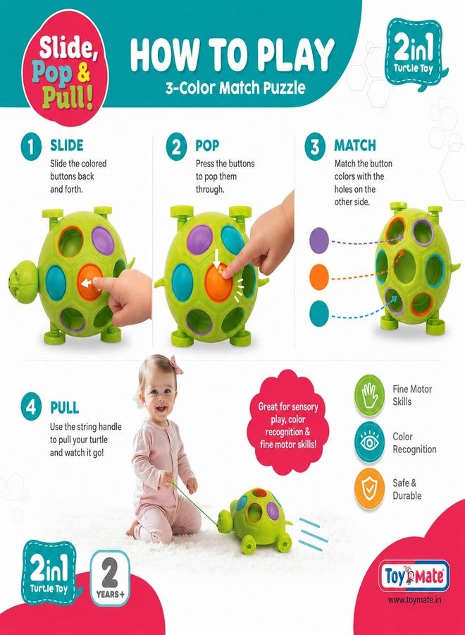 Toymate Slide, Pop & Pull Along Turtle Toy for Toddlers 2+ Years | Activity & Learning Toy for Babies, Toddlers, for Baby Boys & Girls, Encourage Walking, Improve Balance, Gift Set for Kids - Image 2