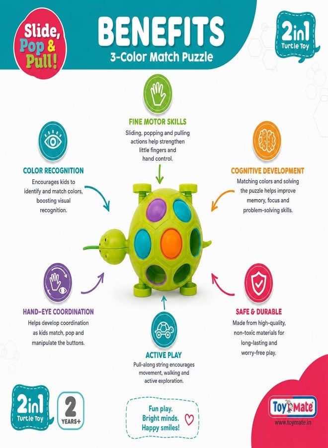 Toymate Slide, Pop & Pull Along Turtle Toy for Toddlers 2+ Years | Activity & Learning Toy for Babies, Toddlers, for Baby Boys & Girls, Encourage Walking, Improve Balance, Gift Set for Kids - Image 3