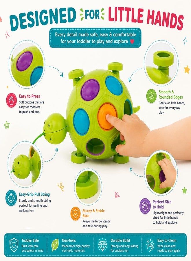 Toymate Slide, Pop & Pull Along Turtle Toy for Toddlers 2+ Years | Activity & Learning Toy for Babies, Toddlers, for Baby Boys & Girls, Encourage Walking, Improve Balance, Gift Set for Kids - Image 4