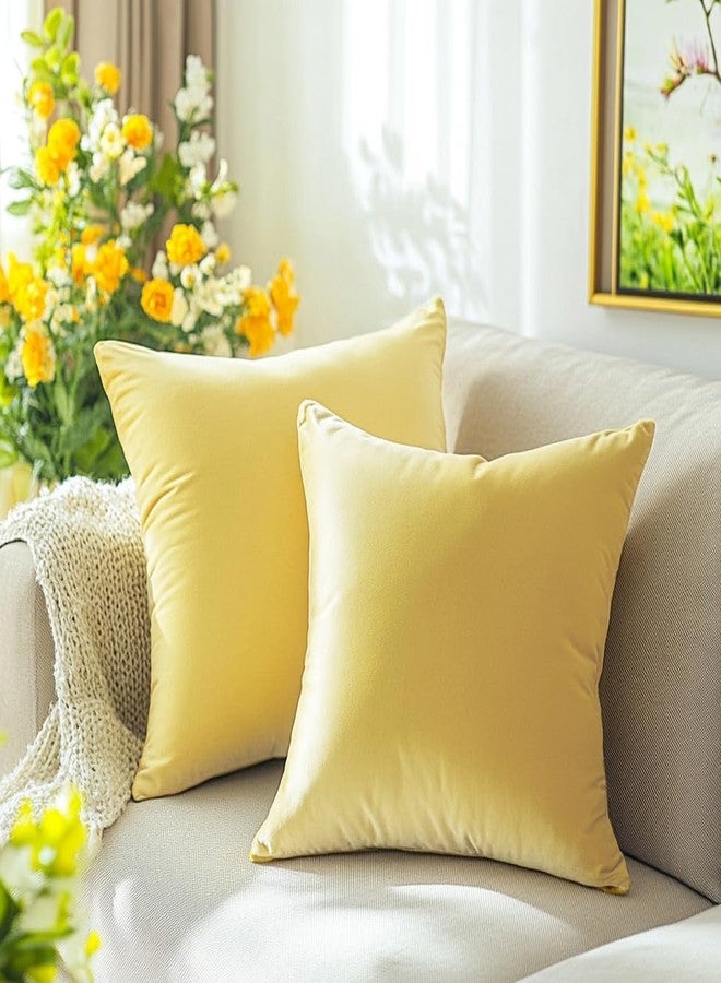 QUORGVES Yellow Throw Pillow Covers 18x18 Inch Set of 2 Velvet Summer Pillow Covers for Living Room Couch Sofa Bed Bedroom Decor Decorative Spring - Image 2