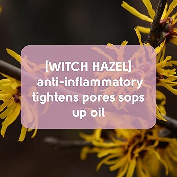 Pretty Face Facts Witch Hazel Forehead Chin Pore Strips - Image 2