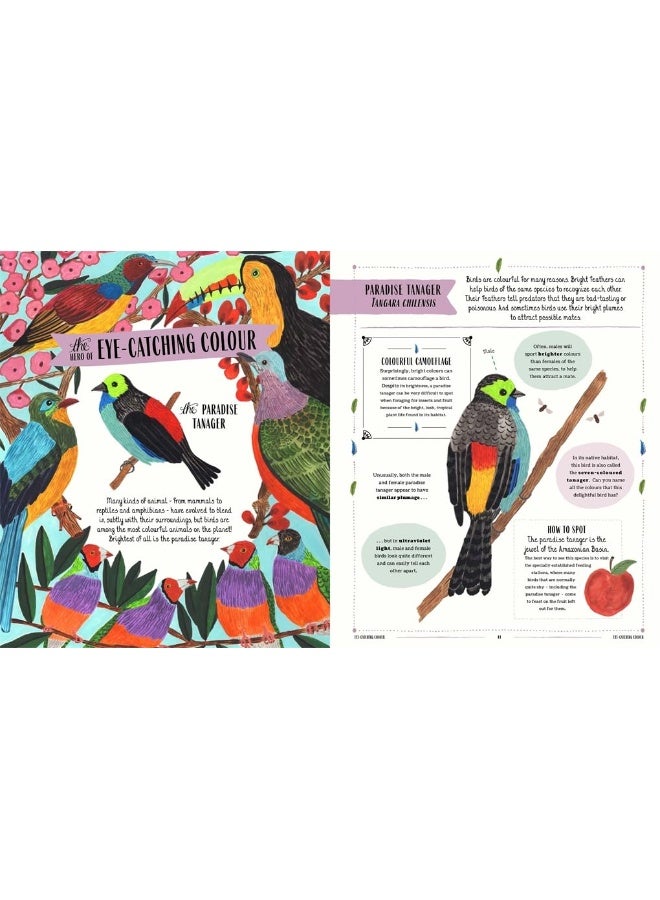 Fly: A Child's Guide to Birds and Where to Spot Them - Image 2