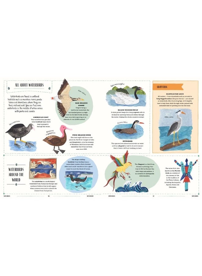 Fly: A Child's Guide to Birds and Where to Spot Them - Image 5