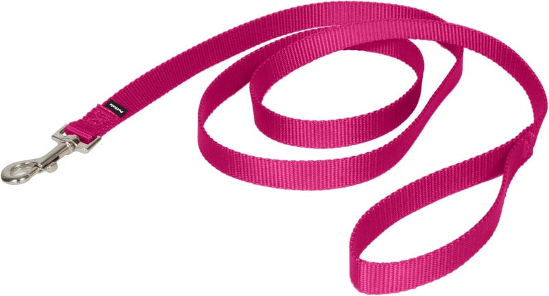 PetSafe Nylon Leash, 3/4" x 6', Deep Purple - Image 1