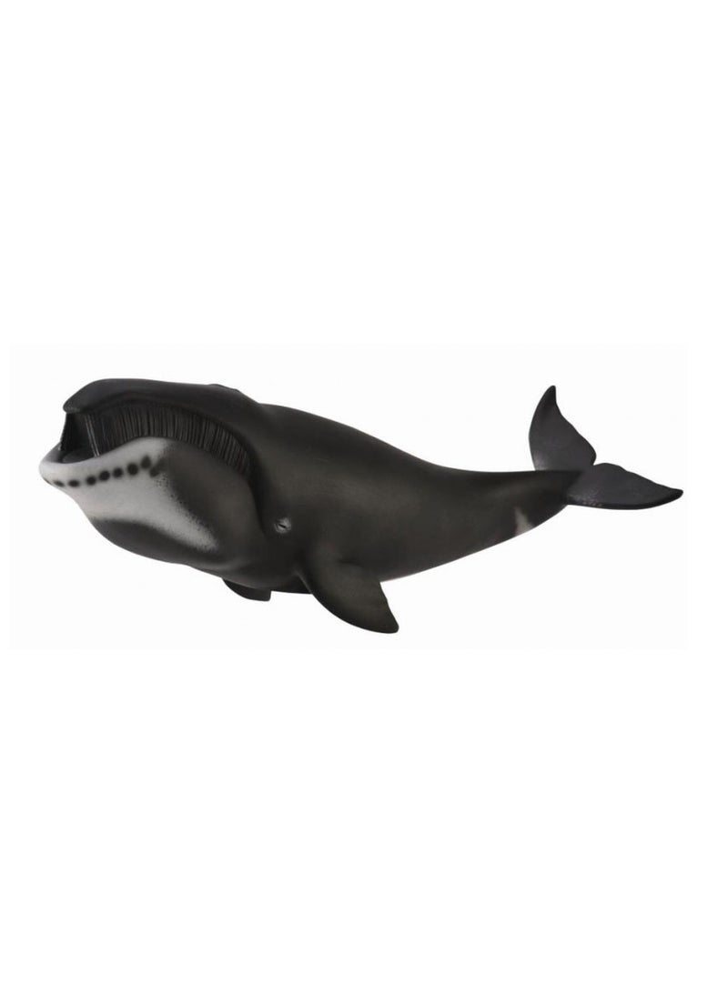 Collecta - Bowhead Whale - 88652