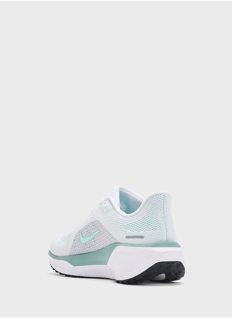 نايكي Air Zoom Pegasus 41