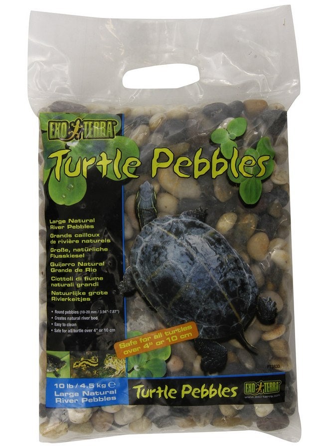 Exo Terra Turtle Pebbles, Large - Image 1