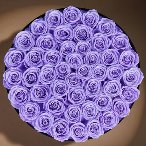 Prifroti 47 Flowers in a Luxury Suede Box, Birthday Gifts for Women, Preserved Flowers, Mothers Day Roses Gift for Mom, Lilac - Image 3