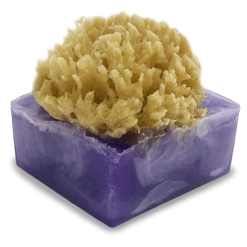 Primal Elements Lavender Blueberry SpongeBar Soap Pack of 2