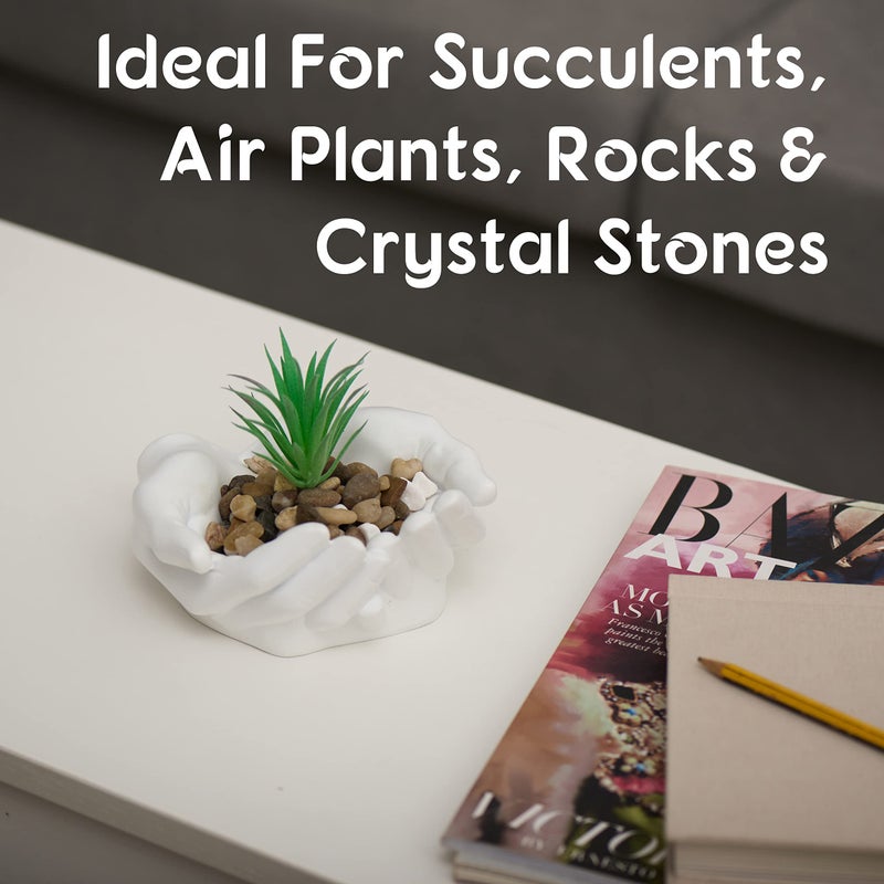Tapeera Hand Shaped Succulent Planter Pot - Crystal Holder Display - Air Plant Holder Hand Planter - Giving Hands Sculpture Decor - Key Bowl Ring Dish Trinket Dish Candy Dish - Candle Holder (White) - Image 2