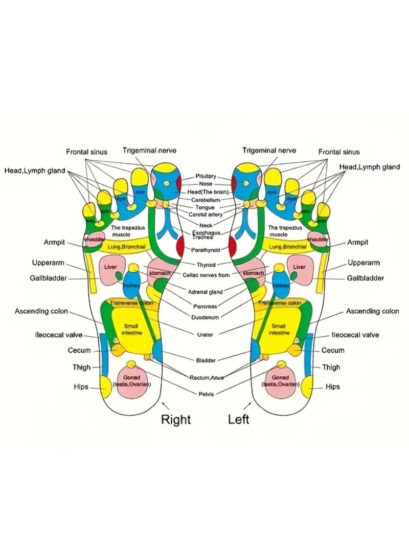 Acupressure Massage Mat for Feet - Non-Electric Health Foot Reflexology Pad with Colorful Stones & Clear Pressure Points, Relaxation & Wellness, No Battery Needed, Massage Tools - Image 3