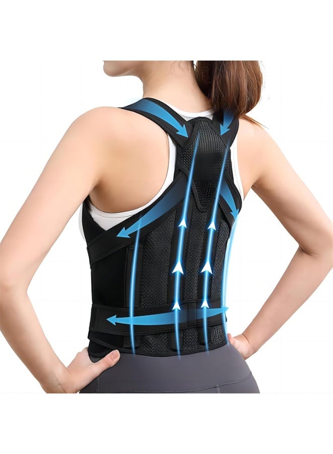 Cool Baby Style Unisex Back Support Waist Slimming Belt, Adjustable Waist Trainer, Adjustable and Breathable, Back Support Improves Back Posture and Provides Lumbar Support, Size L - Image 2