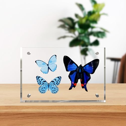 laapee 4x6 Inches Acrylic Picture Frames 3 Pack, Double Sided Magnetic Photo Frames,Free Standing on Desk or Table Clear Picture Frames - Image 4