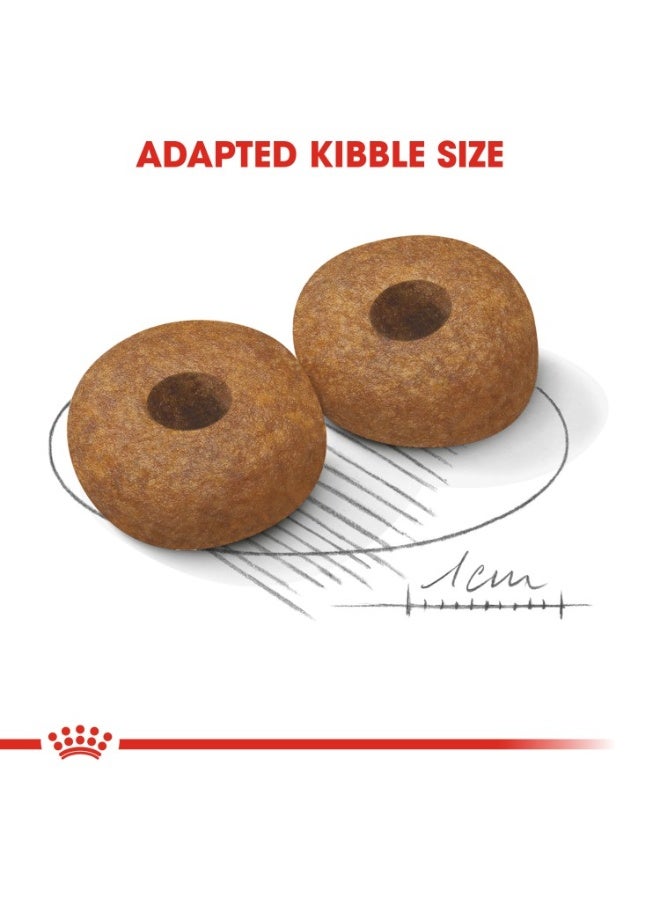 رويال كانين الحجم الصحة والتغذية متوسط ​​العمر 10+ 3 كجم - Image 3