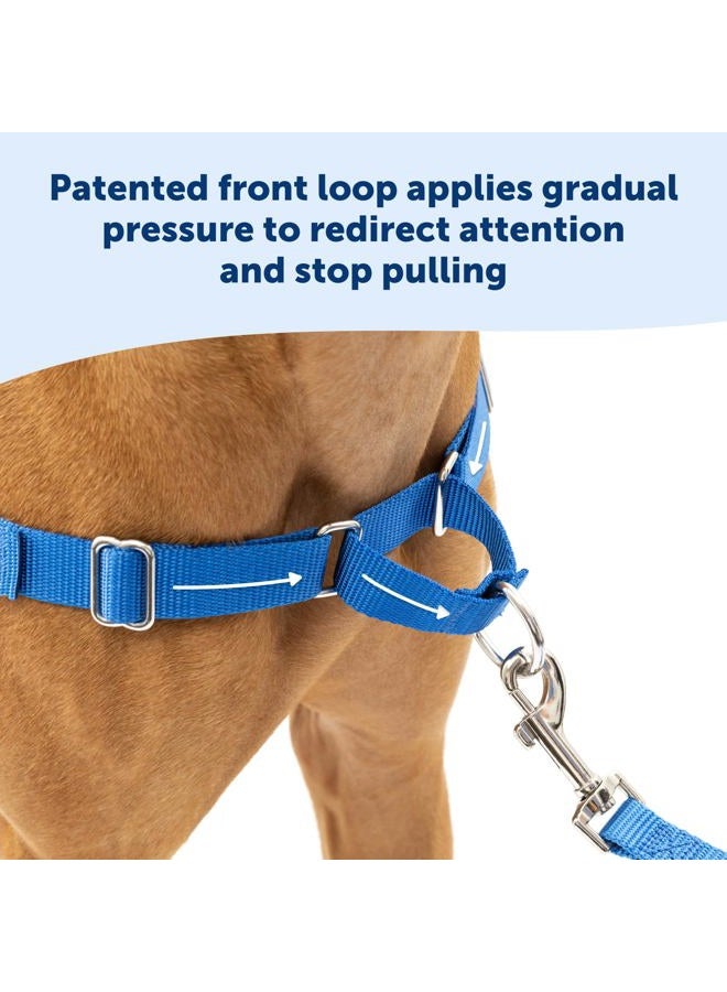 PetSafe Easy Walk No-Pull Dog Harness - The Ultimate Harness to Help Stop Pulling - Take Control & Teach Better Leash Manners - Helps Prevent Pets Pulling on Walks, Large, Charcoal/Black - Image 3