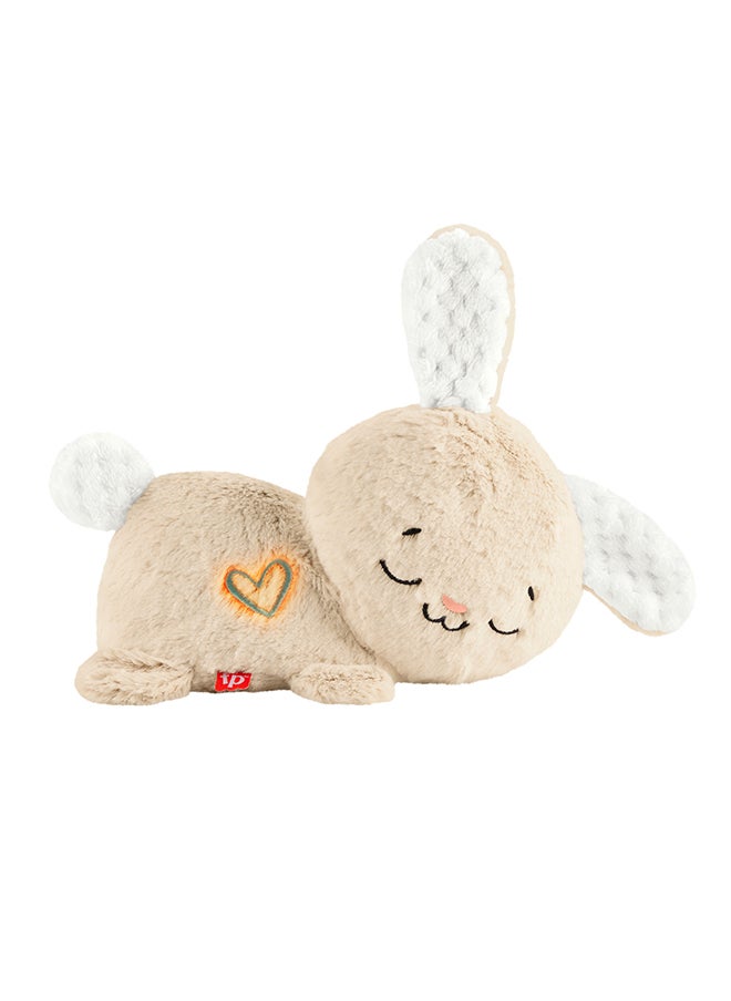 Fisher-Price آلة صوت الأطفال لتهدئة واستقرار الأرنب القابل للحمل مع الموسيقى والأضواء والحركة للأطفال حديثي الولادة  - Image 2