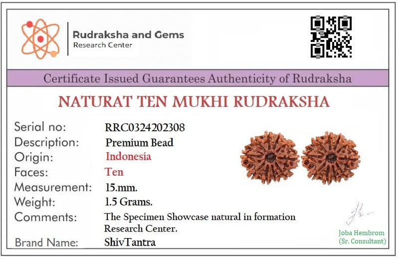 ShivTantra Combo of 10 Mukhi Bead RUDRAKSHA lab Certified (Brown) - Image 2