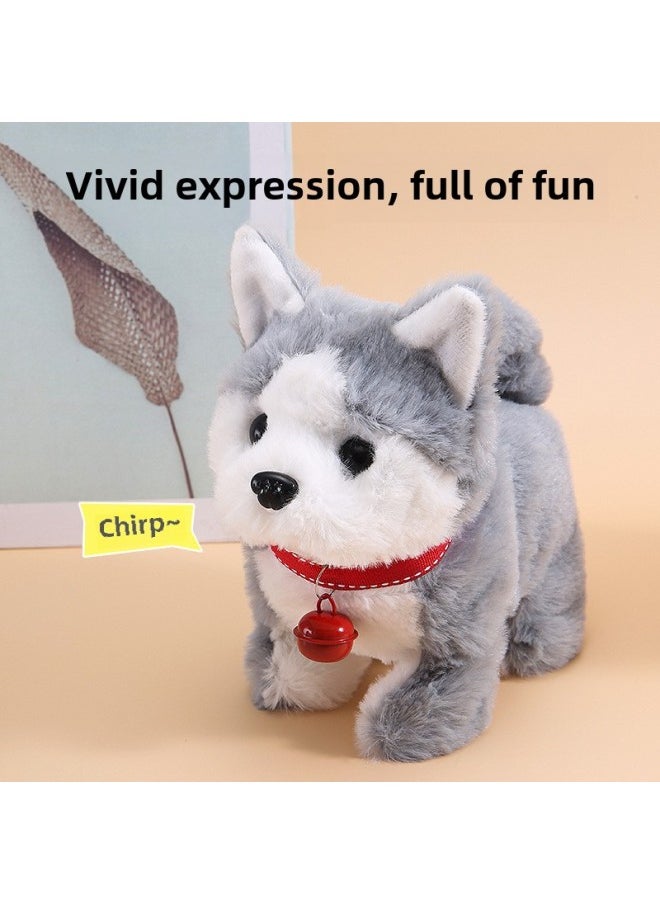 Children's Toy Dog Electric Stuffed Dog Can Walk Sound Stall Electronic Pet Simulation Machine Dog Wholesale-Color:Large Size-bichon Frize-Specifications:Color Box  - Image 4