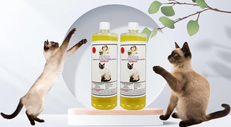 SWACCH Shampoo Specially Formulated for Siamese (1 Litre) (Pack of 2) Lemon - Image 2