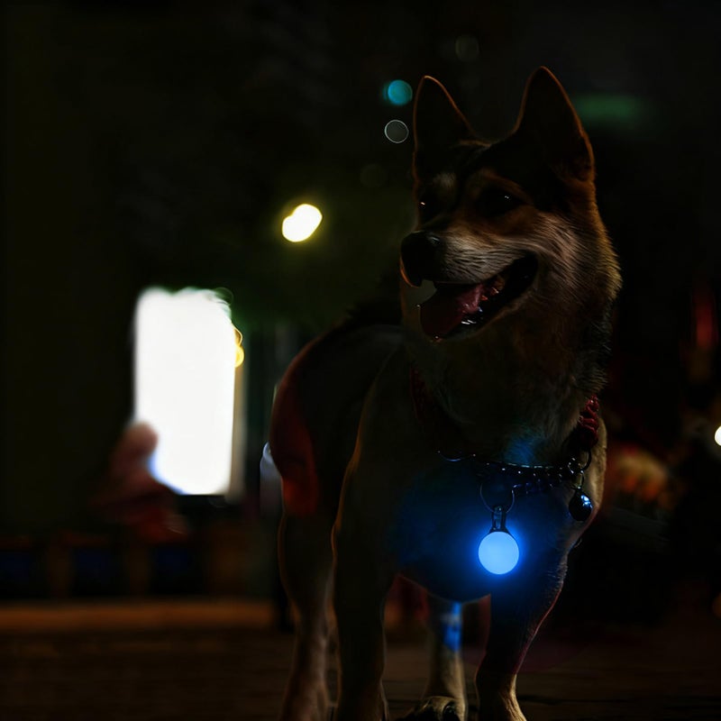 Blue Waterproof Dog Collar Light for Nighttime Walking Camping Hiking Running - Image 3