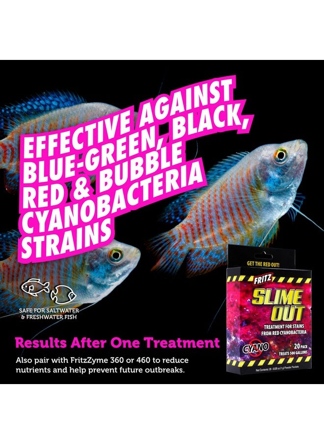 فريتز أكواتيكس علاج Fritz Aquatics Slime Out للبقع الناتجة عن البكتيريا الزرقاء الحمراء في أحواض السمك العذبة أو المالحة (20 قطعة)  - Image 4