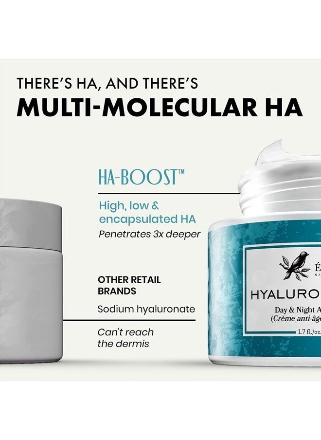 Eclat Skincare - Pure Hyaluronic Acid Serum for Face with 10 Antioxidants - 100% Organic & Vegan - Dermatologist Developed Moisturizing HA Serum - Anti-Aging Face Serum for Hydrating, Firming and Plumping Skin - Image 1
