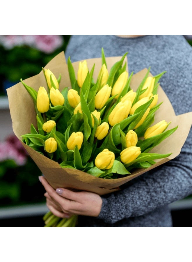 Carmel Flowers Yellow Tulip Special- Bunch  Of 25 Yellow Tulips 