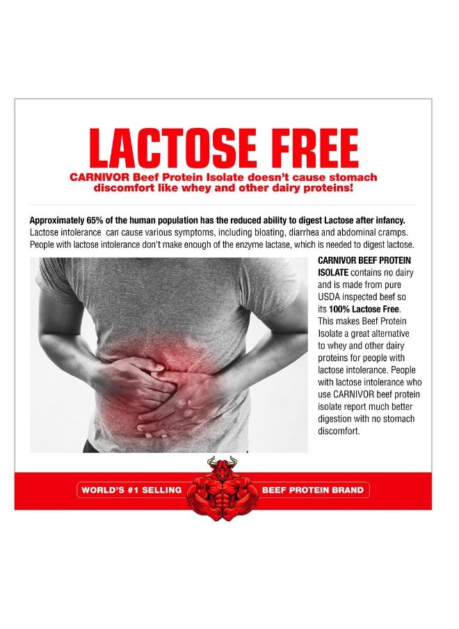 MUSCLEMEDS Carnivore Shred Fat Burning Beef Protein Isolate Chocolate Flavor 56 Servings  - Image 5