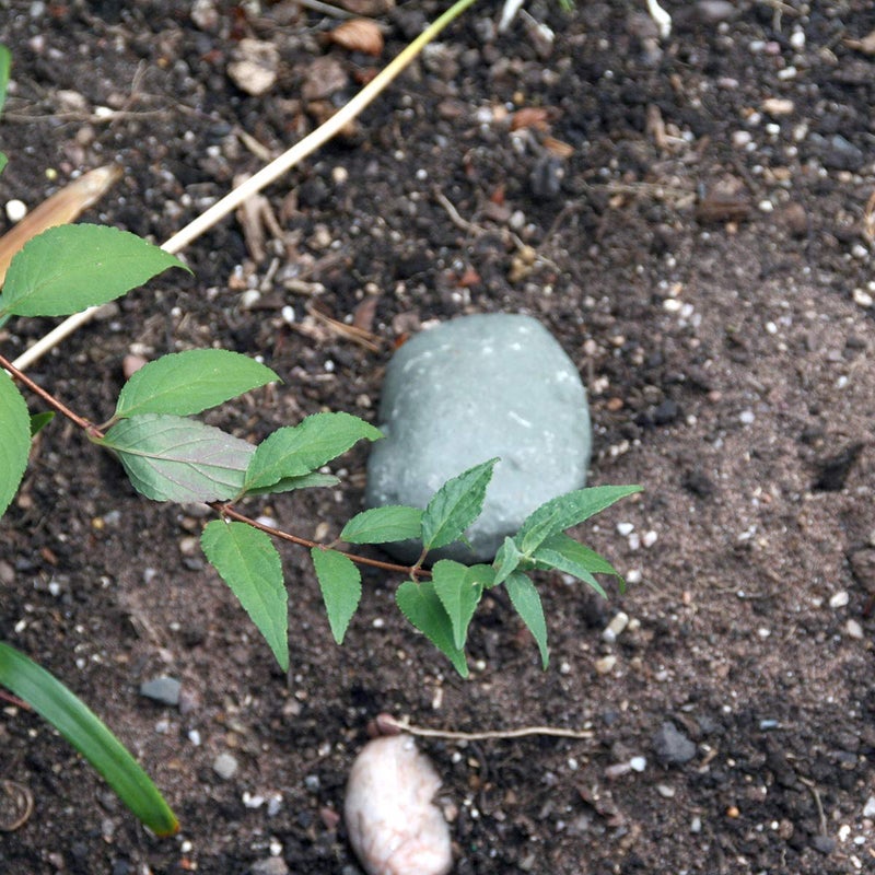 BIRD Key Rock – Hide a Key Outdoor in a Fake Rock. Great as Geocache containers or as Secret Key Holder for Outside - Image 4
