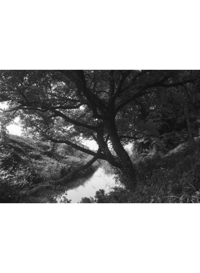 HOYA 55Mm R72 Infrared Filter - Image 4