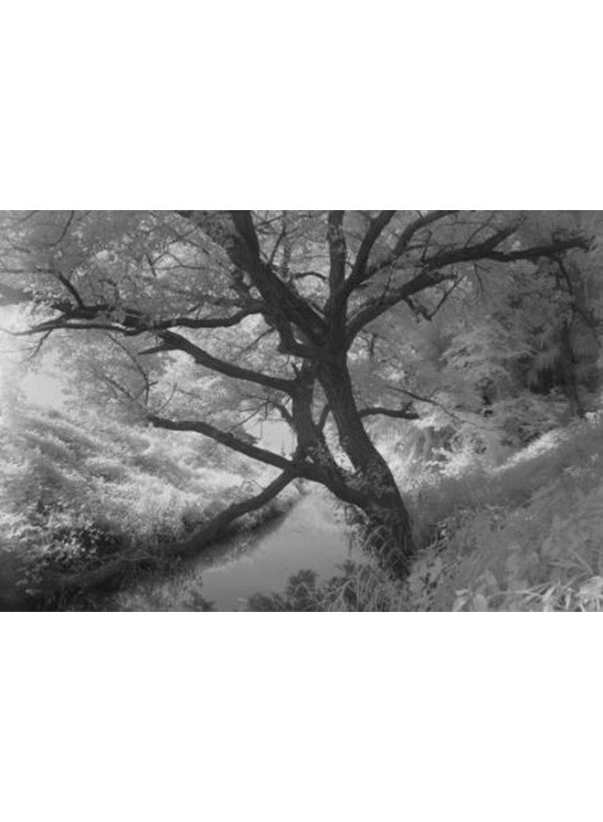 HOYA 55Mm R72 Infrared Filter - Image 3