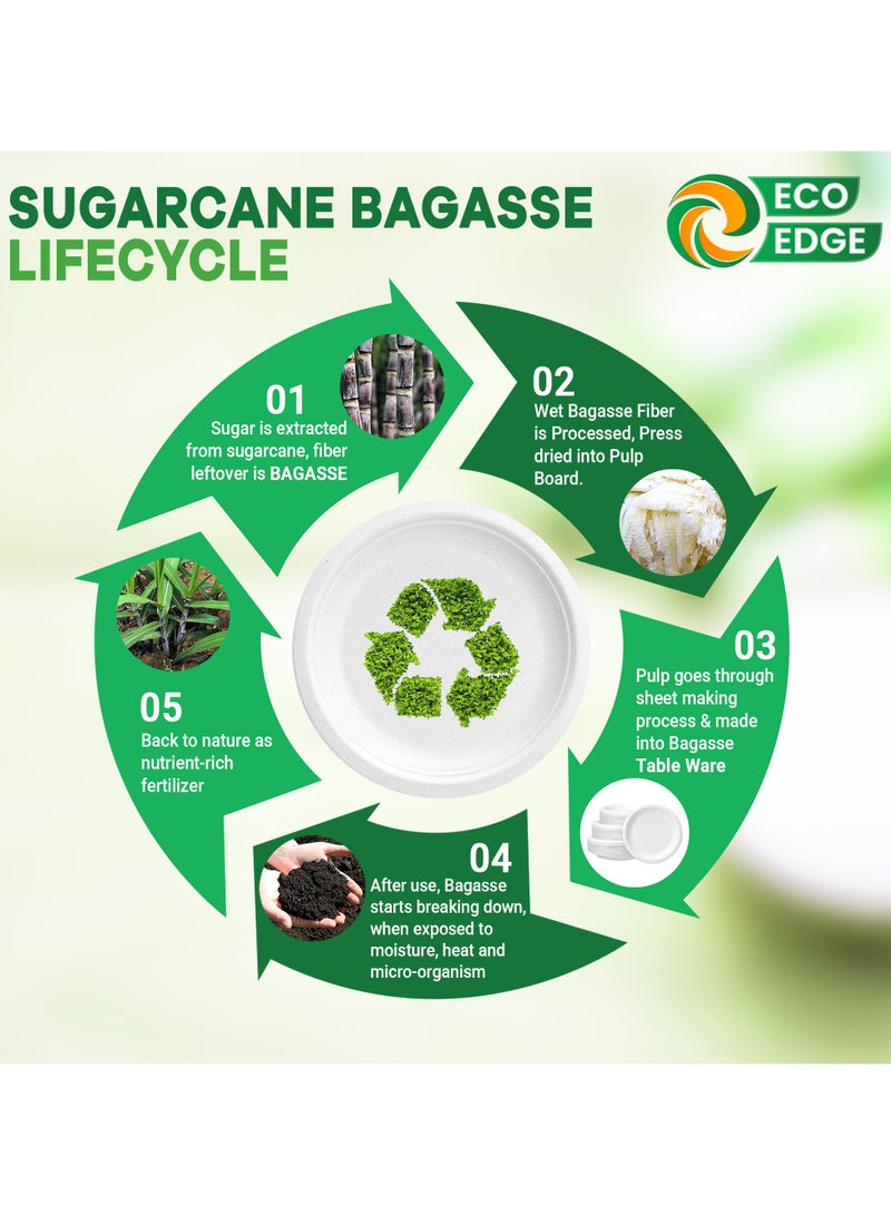 EcoEdge 10 Inch Round White Disposable Sugarcane Bagasse Plates (Pack of 50) | Sustainable, Eco Friendly, Non-Toxic | Light weight, Event Ready, BPA Free, Microwave - Freezer Safe | 100% Compostable - Image 2
