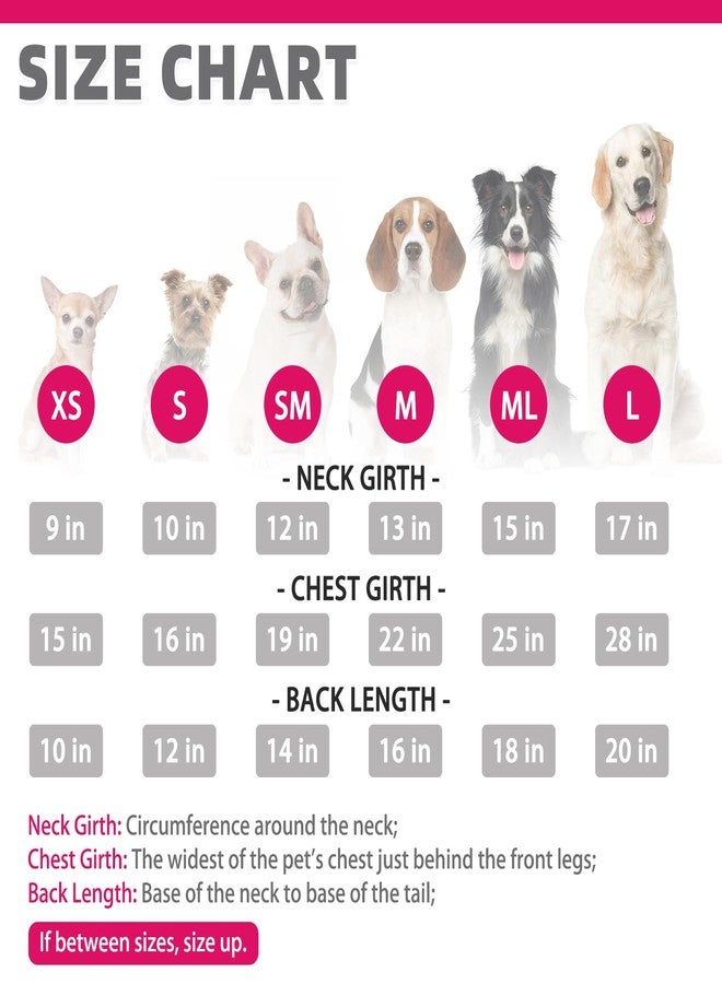 كولتيل كنزة صوفية للكلاب من كولتيل - كنزة كلاسيكية منقوشة برقبة عالية مع فتحة للربط، ملابس شتوية دافئة للكلاب الصغيرة والمتوسطة الحجم والقطط والجراء. - Image 2