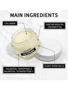 lakerain Lip Collagen Balm Lip Cream Lip Mask for Deep Moisturizing Hydrating Nourishing Smooth Soft Lips Moisturize Dry Chapped Lips Lip Collagen Mask Lip Makeup Primer Night Lip Mask 20G  - Image 2