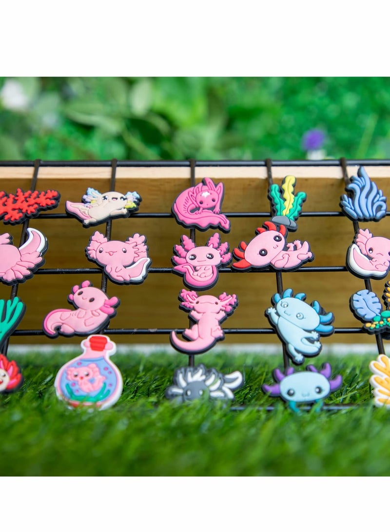 30 PCS lovely Shoe Decoration Charms for Kids - PVC Axolotl Shoe Decorations, Perfect Party Gifts & Accessories for Teens - Image 2