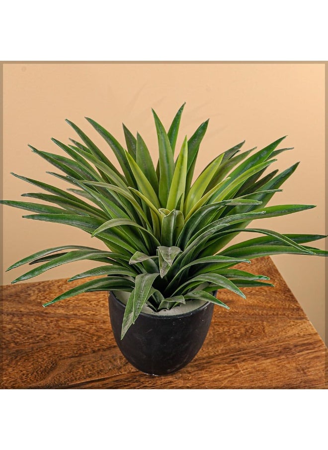 Nearly Natural Yucca Plant, 30cm Lifelike Artificial Plants with Pots, Maintenance-Free, UV Resistant Green Leaves, Lifelike Faux Indoor Plants, Sturdy & Realistic Fake Plants for Garden Decor - pzsku/Z00C686E01990F2EA973CZ/45/_/1727279705/837f56ae-df69-4c04-bdce-cdec4a03012b