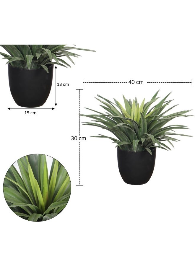 Nearly Natural Yucca Plant, 30cm Lifelike Artificial Plants with Pots, Maintenance-Free, UV Resistant Green Leaves, Lifelike Faux Indoor Plants, Sturdy & Realistic Fake Plants for Garden Decor - pzsku/Z00C686E01990F2EA973CZ/45/_/1727279707/25872b4d-38ca-40c5-8391-9426edff2407